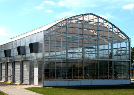 Capitol Crown Greenhouse