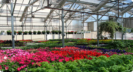 Benching Systemsby United Greenhouse Systems