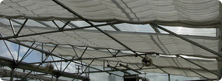 Ambassador Crown Structure by United Greenhouse Systems