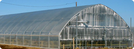 Poly Covering Options by United Greenhouse Systems