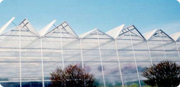 VenLite Greenhouse Structures for Growers and Producers