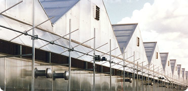 Ambassador Crown Greenhouse Structures for Growers and Producers