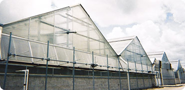 Ambassador Crown Greenhouse Structures for Public and Research
