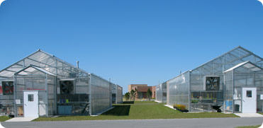 Ambassador Crown Greenhouse Structures for Schools and Universities
