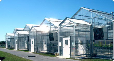 Photo 1 - Ambassador Crown™ Structure by United Greenhouse Systems