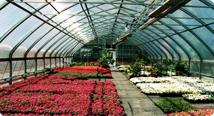 Photo 3 - Diplomat™ Structure by United Greenhouse Systems