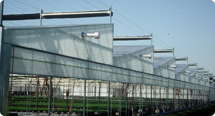 Photo 1 - Federal™ Structure by United Greenhouse Systems