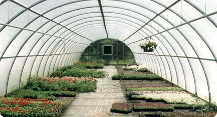 Photo 3 - Pioneer™ Structure by United Greenhouse Systems
