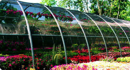 Photo 2 - Pioneer™ Structure by United Greenhouse Systems