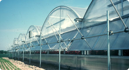 Photo 1 - StateMman Structure by United Greenhouse Systems
