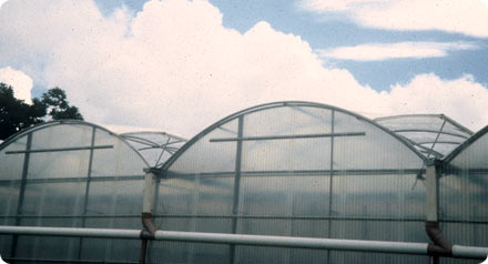 Photo 3 - StatesMan™ Structure by United Greenhouse Systems