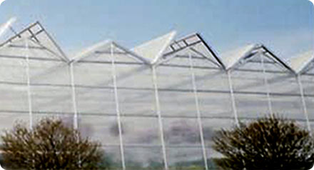 VenLite™ Structure by United Greenhouse Systems